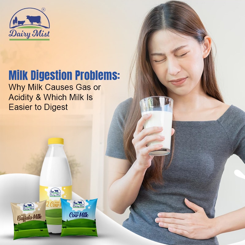Why Milk Causes Gas and Acidity and Which Milk Is Easier to Digest