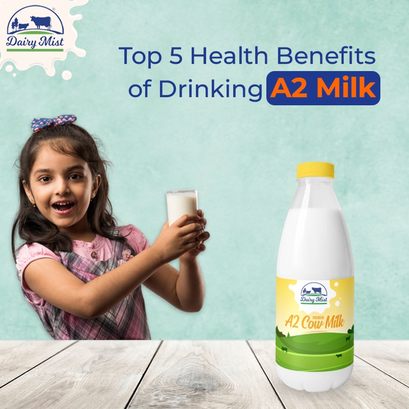 Top 5 Health Benefits of Drinking A2 Milk