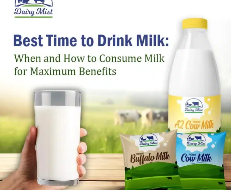 Best Time to Drink Milk