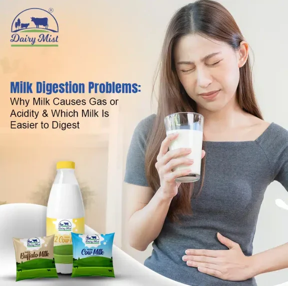 Why Milk Causes Gas and Acidity