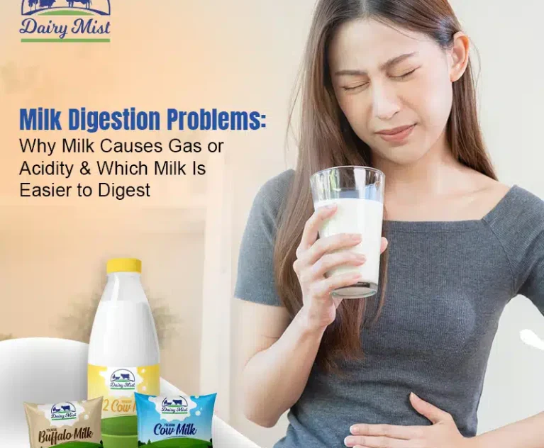 Why Milk Causes Gas and Acidity