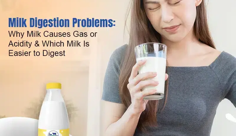 Why Milk Causes Gas and Acidity