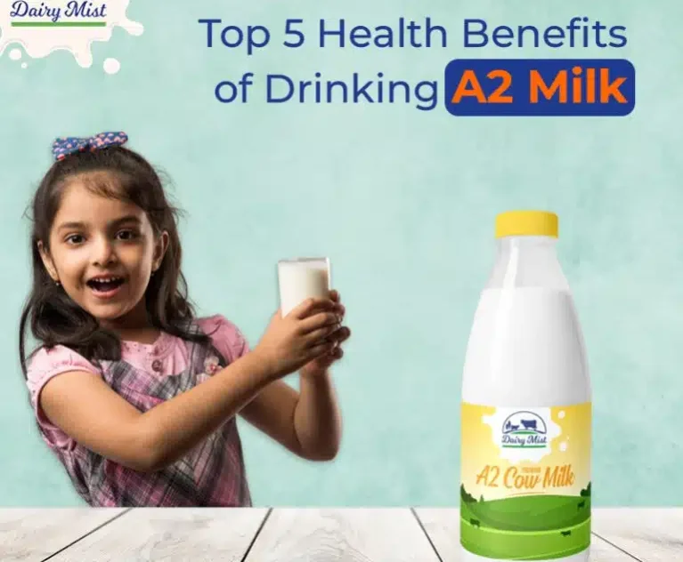 Top 5 Health Benefits of Drinking A2 Milk
